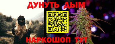 шишки Новодвинск