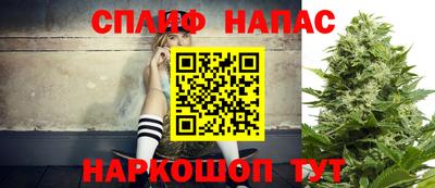 шишки Новодвинск