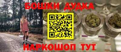 шишки Новодвинск