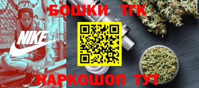 шишки Новодвинск