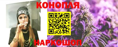 шишки Новодвинск