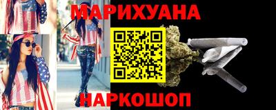 шишки Новодвинск