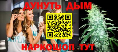 шишки Новодвинск